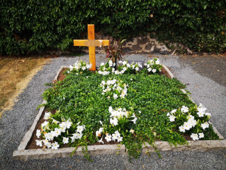 Doppelgrab mit Holzkreuz und Grabstein, Namen anonymisiert, mit Grabbepflanzung durch grüne Pflanzen mit weißen Blüten